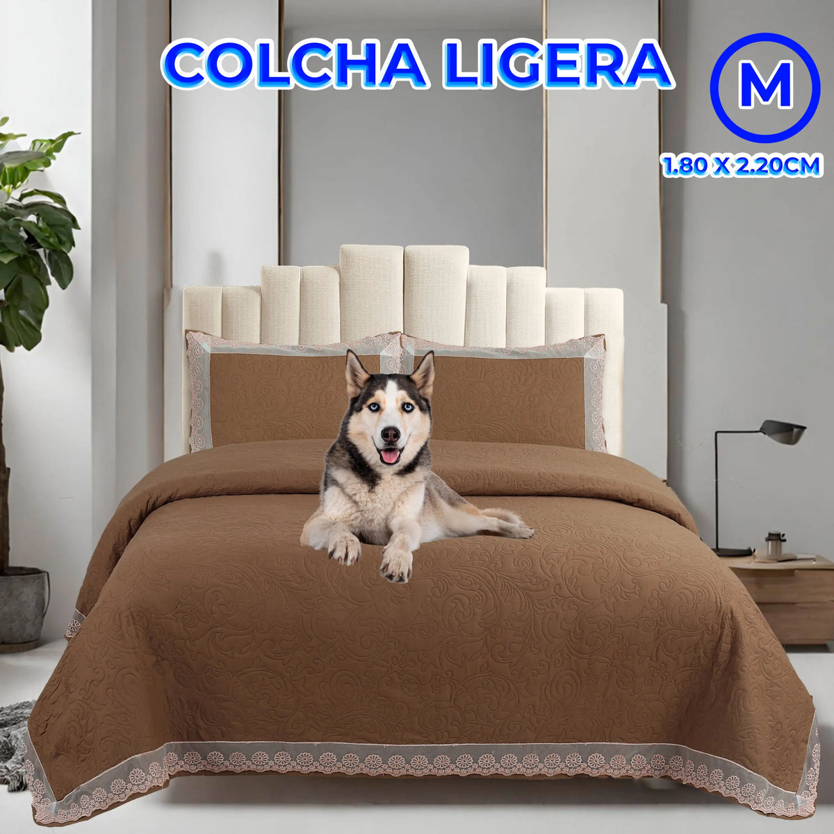 ELEGATE 3-Piece Sheet & Pillowcase Set with Discreet Ruffle Design Solid Pattern-Mexico Origin 180*220 Cafe