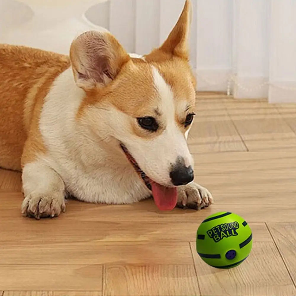 Pet Supplies Durable Dog Ball Interactive Bite-resistant Squeaky Dog Fun Sounds Wear-resistant Puppy Wrestling Pets Play