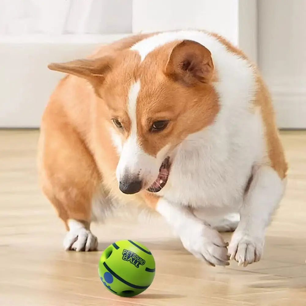 Pet Supplies Durable Dog Ball Interactive Bite-resistant Squeaky Dog Fun Sounds Wear-resistant Puppy Wrestling Pets Play