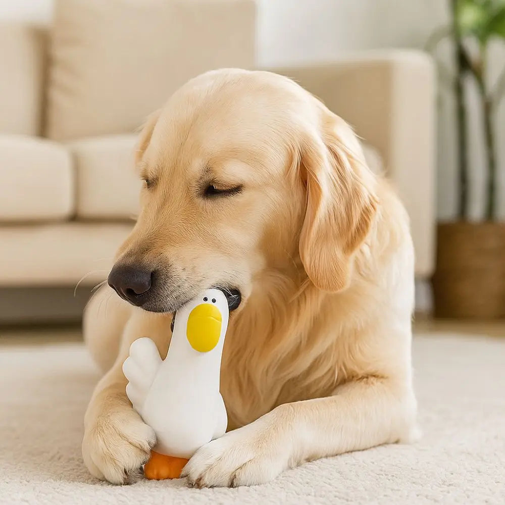 Pet Supplies Cartoon Pet Latex Toys Pelican Shape Washable Dog Chew Toys Bite Resistant Interactive Dog Toys Training