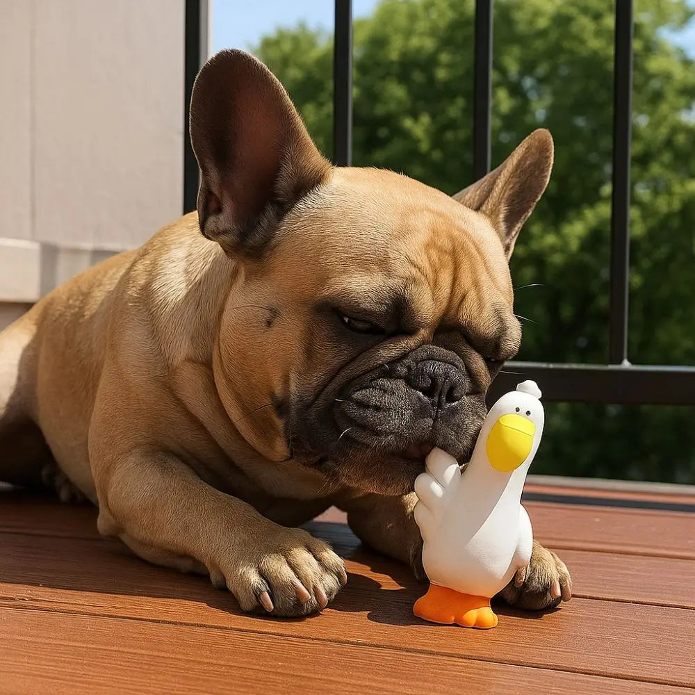 Pet Supplies Cartoon Pet Latex Toys Pelican Shape Washable Dog Chew Toys Bite Resistant Interactive Dog Toys Training