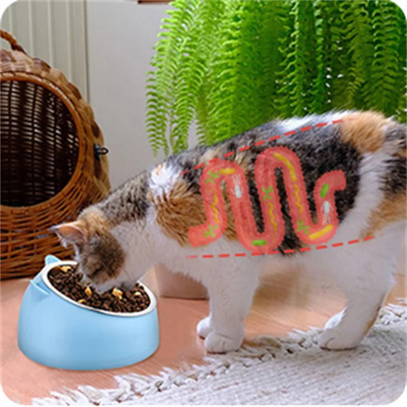 Pet Bowls Dog Food Water Feeder Stainless Steel Pet Drinking Dish Feeder Cat Puppy Feeding Supplies Small Dog Accessories