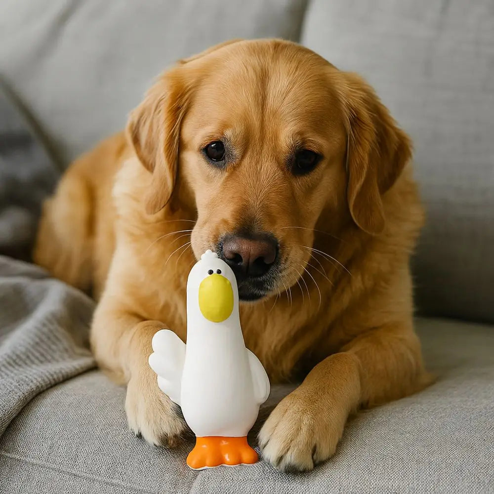 Pet Supplies Cartoon Pet Latex Toys Pelican Shape Washable Dog Chew Toys Bite Resistant Interactive Dog Toys Training